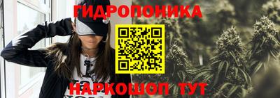 прущие грибы Ликино-Дулёво