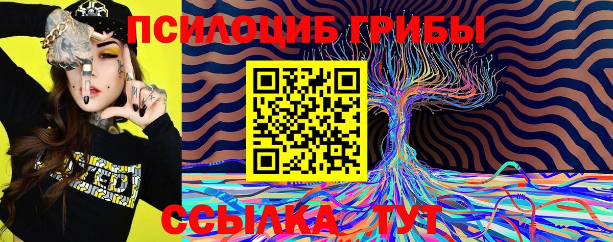 Грязи  Псилоцибиновые грибы MAGIC MUSHROOMS  Вход с VPN 