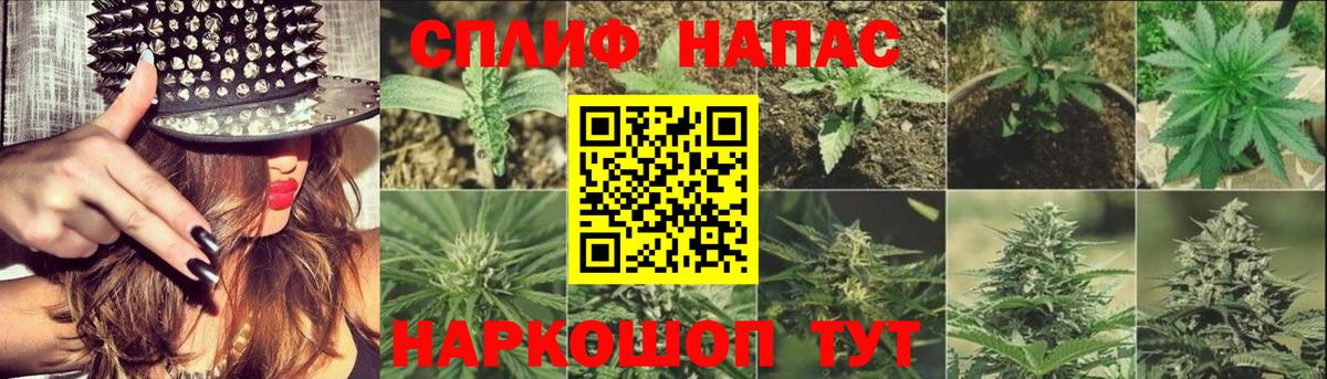 Каннабис THC 21% Грязи